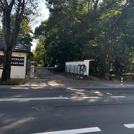 Premium Designer - Quiet And *