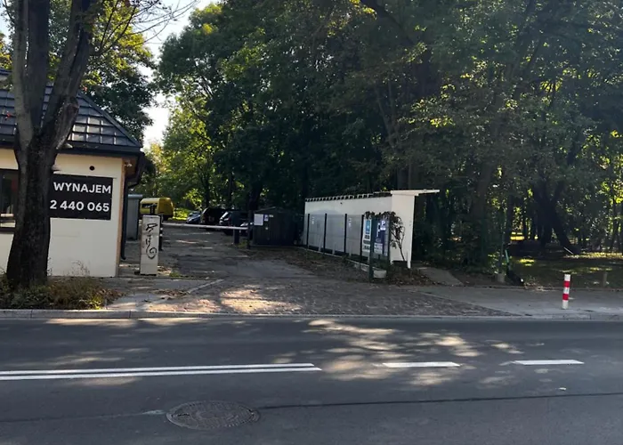 Premium Designer - Quiet And *